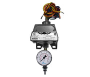 Pressure Switch With Gauge (Pressure)