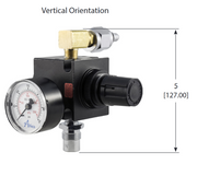 Regulator Assembly